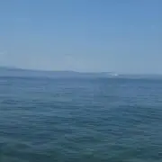 どみその画像