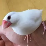 まつもん