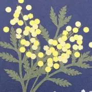 flowerの画像