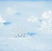 ゆきの画像