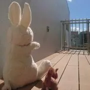 cotan