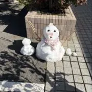 えんどうまめの画像