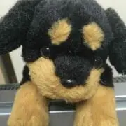 るー