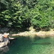 にわこけの画像