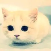 Yvannaの画像