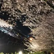 げてげて