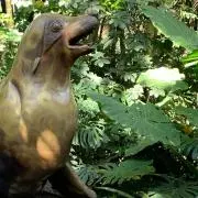とどきちの画像
