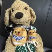 ゴンざえもん