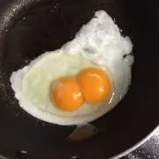 ぽんぽこの画像