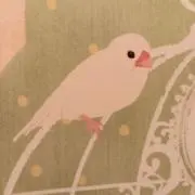 chi-＊