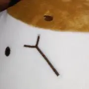 けっち