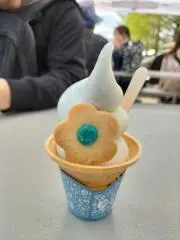トメの画像