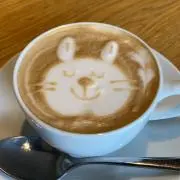 ミントの画像