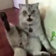 リョウ