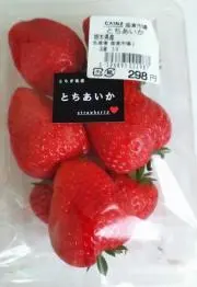 ここあの画像