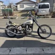 タートルの画像