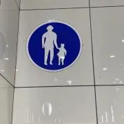 ユキの画像