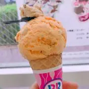 アイス【即購入可能です！】