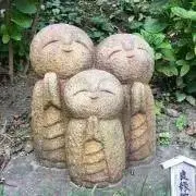 ソラマルの画像
