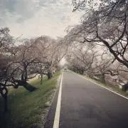 freebee66の画像