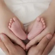 らʕ•ᴥ•ʔの画像