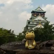 みぃすけの画像
