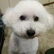 ユッキー【購入前にプロフ確認して下さい】の画像