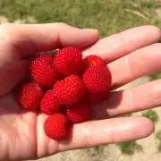引越の為、断捨離中の画像