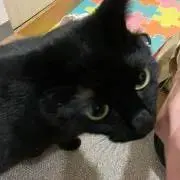 みさ