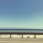 minminの画像