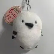 ぽん‼️の画像