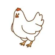 コッコの画像