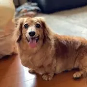 ☆でーる☆ コメント頂ければ10%引き♪の画像
