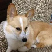 kumi♥
