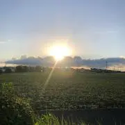のれん