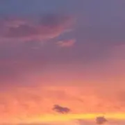 tm