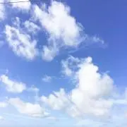 Mr.kの画像