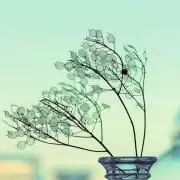 たまの画像