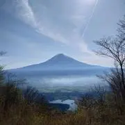 がい