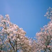 まその画像