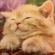 ゆう