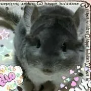 ららたん