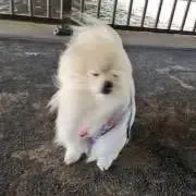 nonの画像
