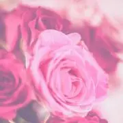 ゆう