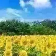ぽてち★即ご購入歓迎★丁寧に簡易梱包の画像