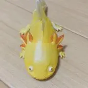 エビちゃんの画像