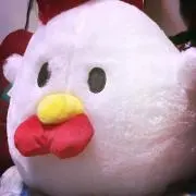 Fujiの画像