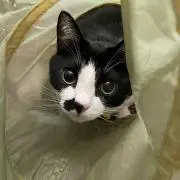 みちゃん