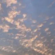 ユイの画像