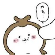 かぶの画像